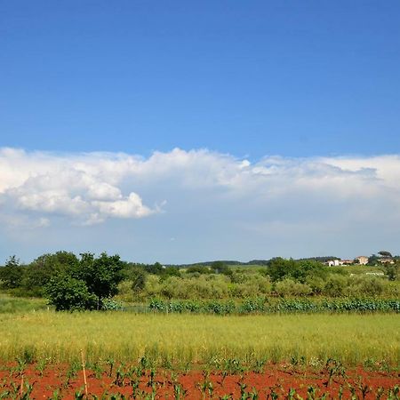 Apartments Sv. Pelegrin Umag Kültér fotó