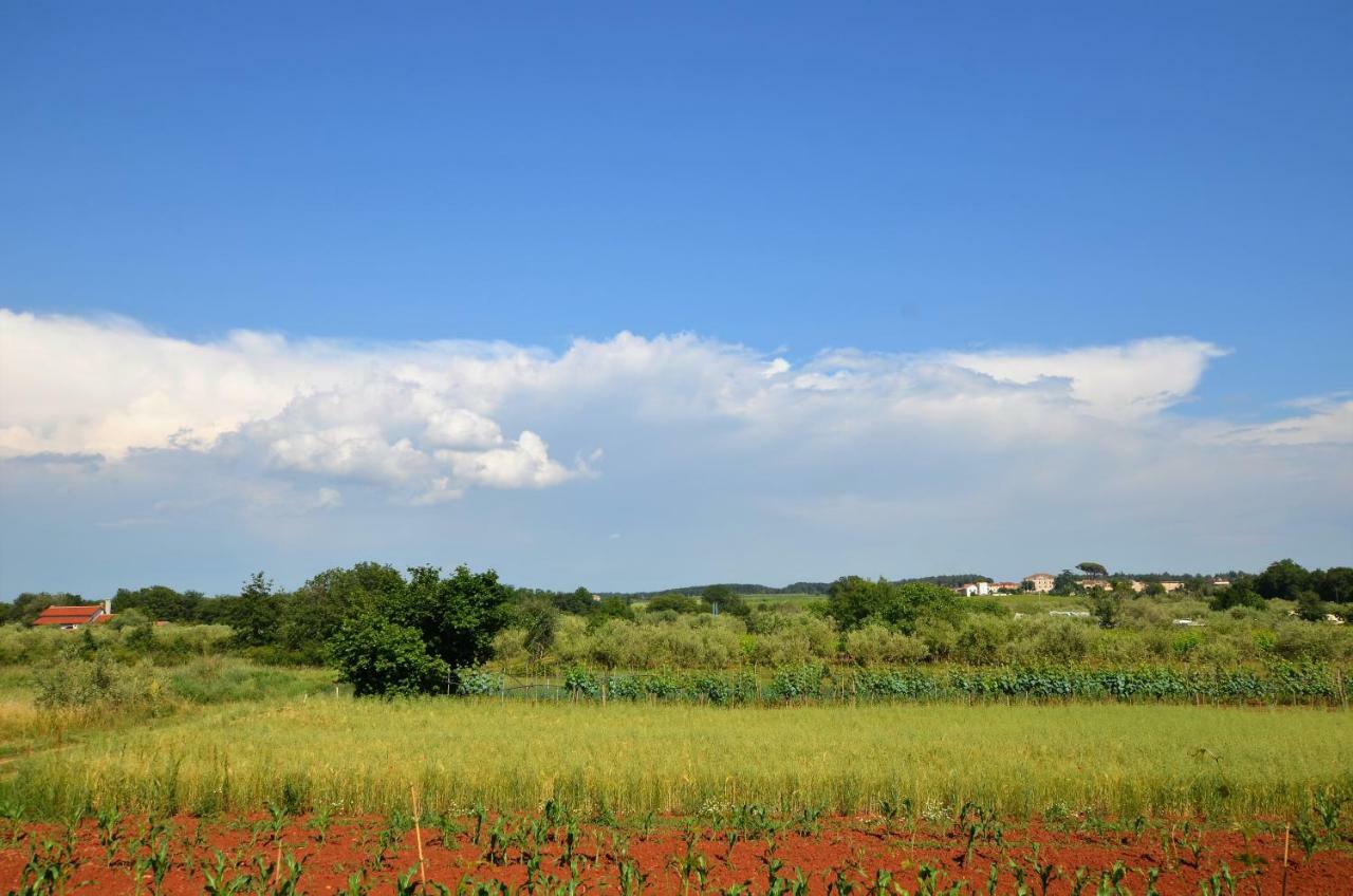 Apartments Sv. Pelegrin Umag Kültér fotó